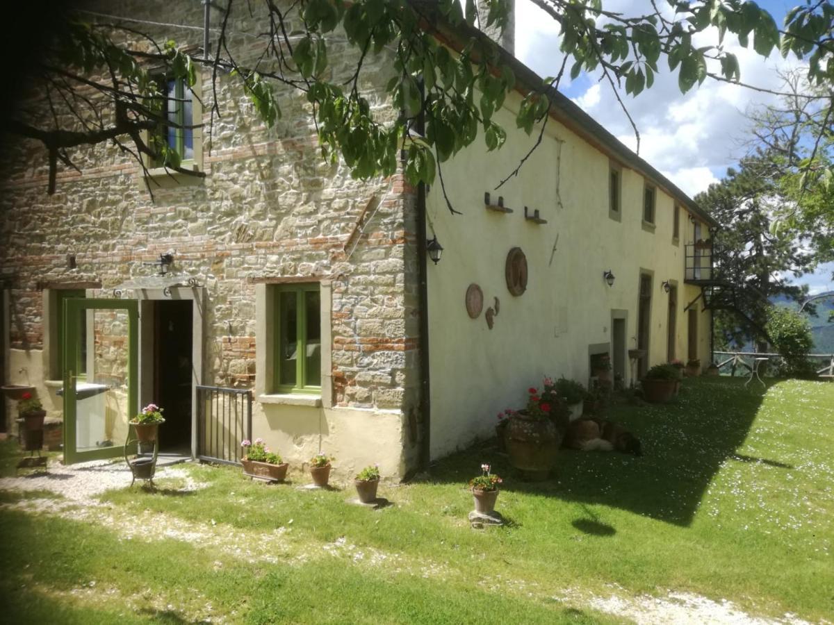 Podere Casone Apartment Sant'Adriano